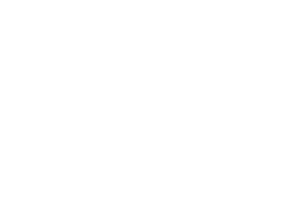 SolarSpirit zonnepanelen logo